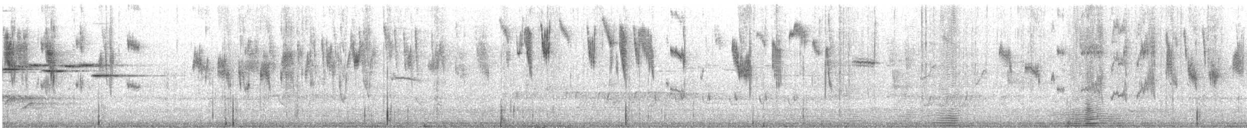 Элегантный малюр - ML646874984