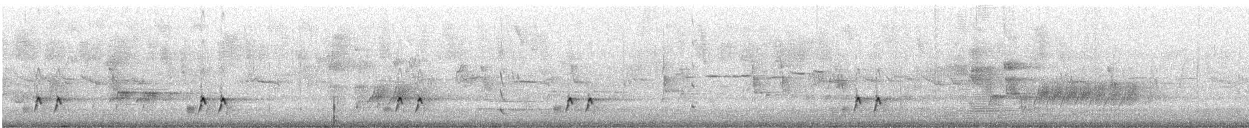 Желтогрудый радужник (substriatus) - ML646875008