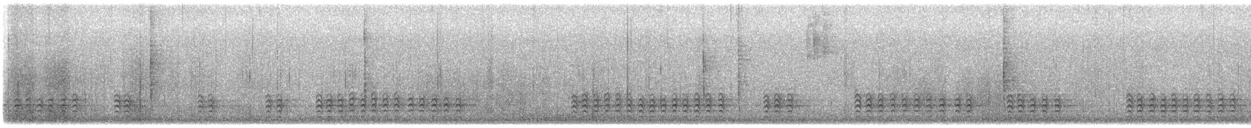 Каролинский поползень - ML646875117
