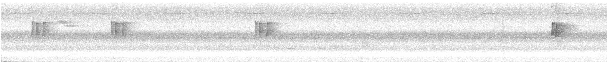 lejsek asijský - ML646875222