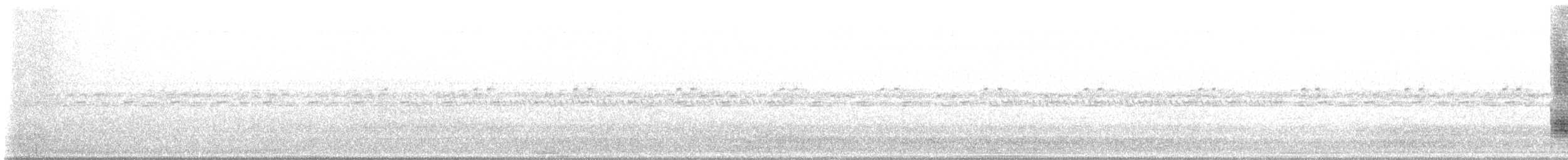 Amerikaschleiereule - ML646875793