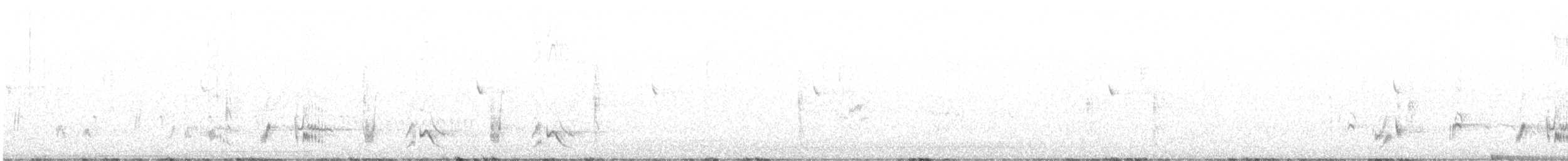 California Thrasher - ML646875973