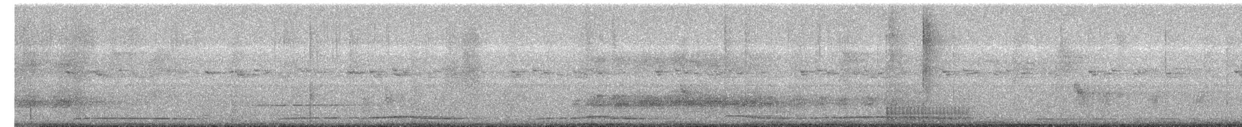 hvitbukgrønndue - ML646876252