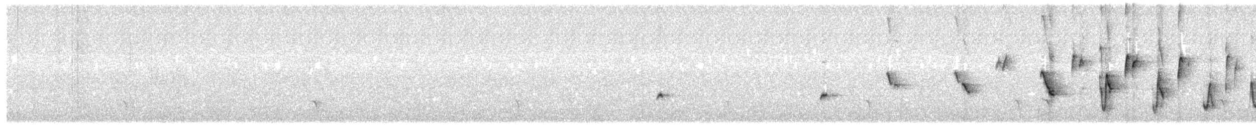 Noisy Scrub-bird - ML646876408