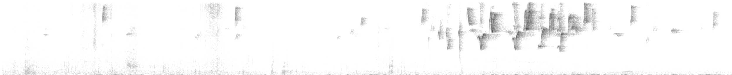 Chlorospin à sourcils brisés - ML646876465