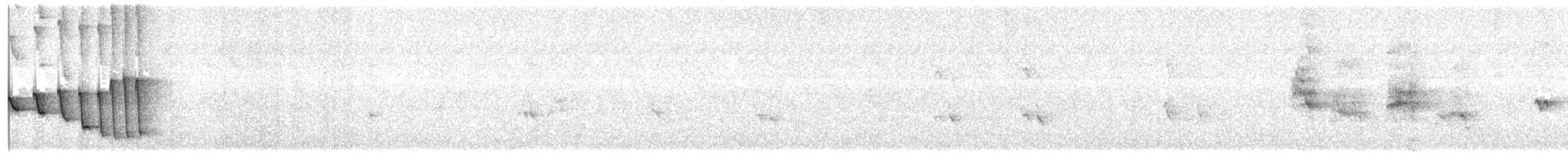 Noisy Scrub-bird - ML646876485