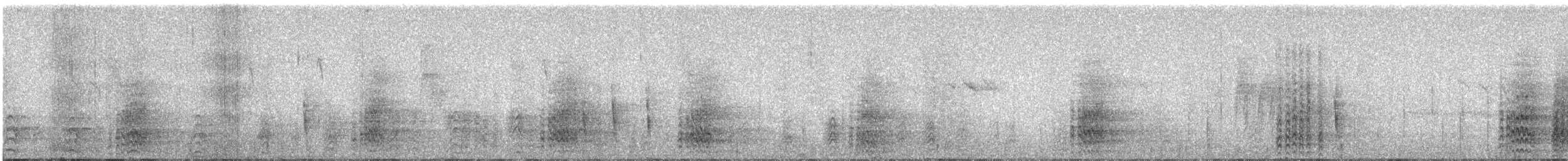 Hermit Thrush - ML646876802