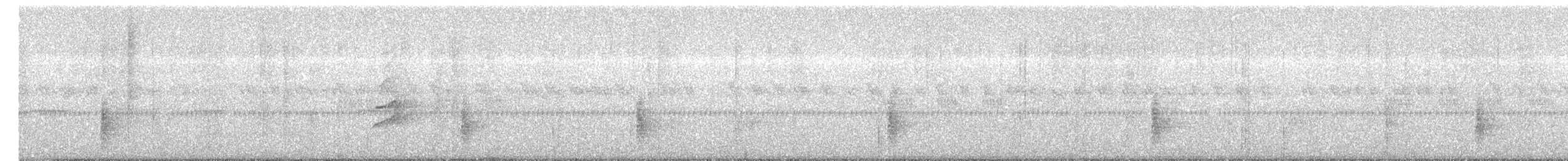 rubinstrupe - ML646876891