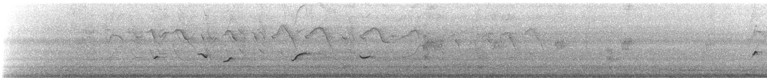 Yellow Oriole - ML646877036