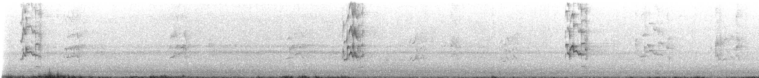 Red-collared Lorikeet - ML646877221