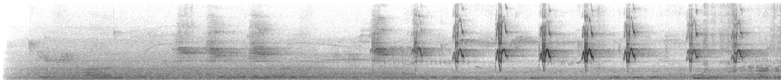 Blue-headed Parrot - ML646877223