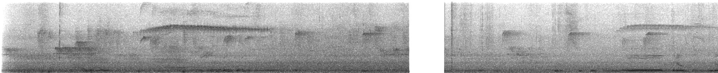 Grayish Piculet - ML646877230