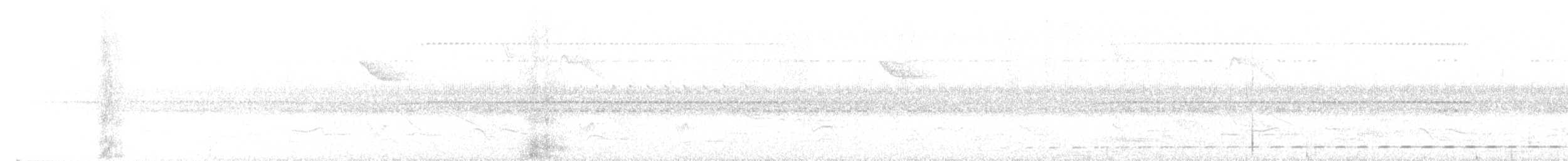 Short-tailed Antthrush - ML646877390