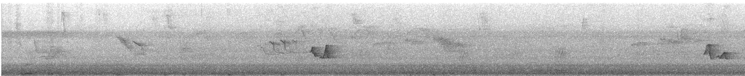 Chivi Vireo - ML646877423