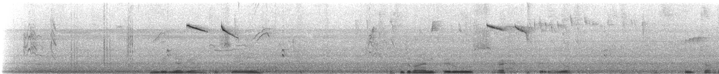 Rufous-tailed Hummingbird - ML646877430