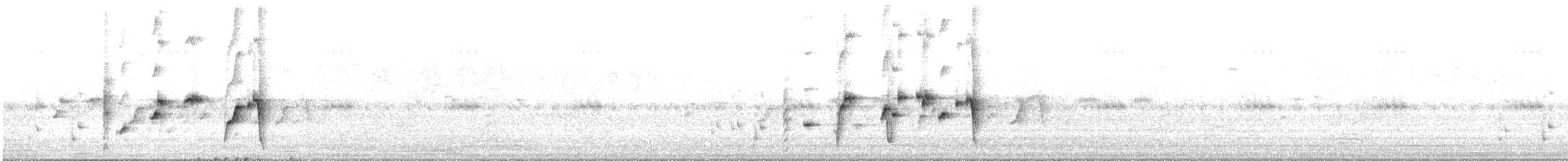 Willie-wagtail - ML646877523