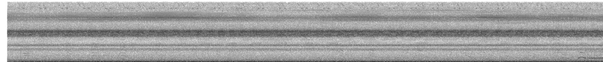 bøffelhegre - ML646877533