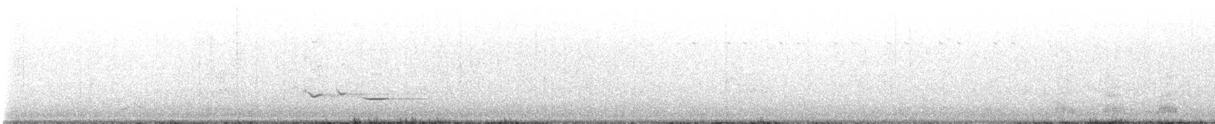 Pied Butcherbird - ML646877577