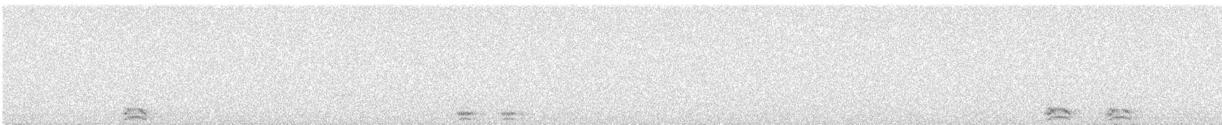 Ворон - ML646877618