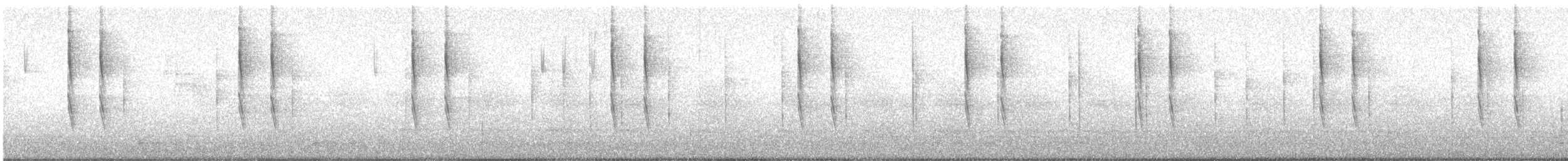 Волоочко кордильєрське - ML646877728
