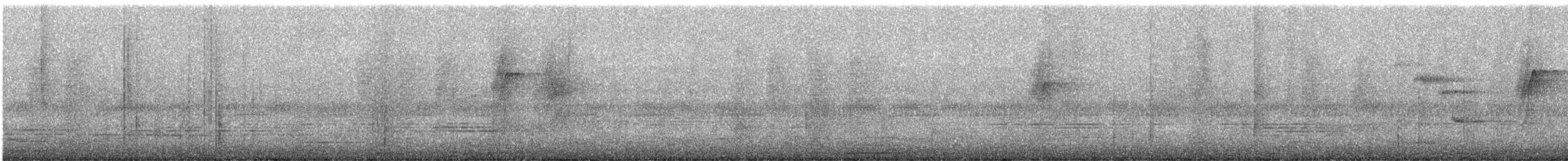 Eule, unbestimmt - ML646877768