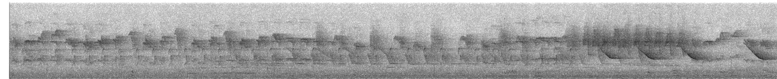 Gray-breasted Prinia - ML646877827