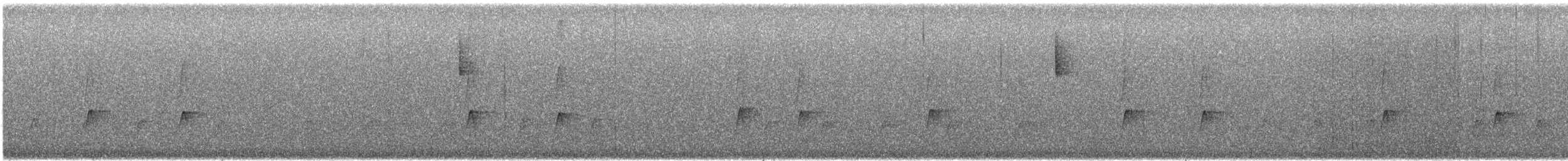 Tannenschnäppertyrann - ML646878133