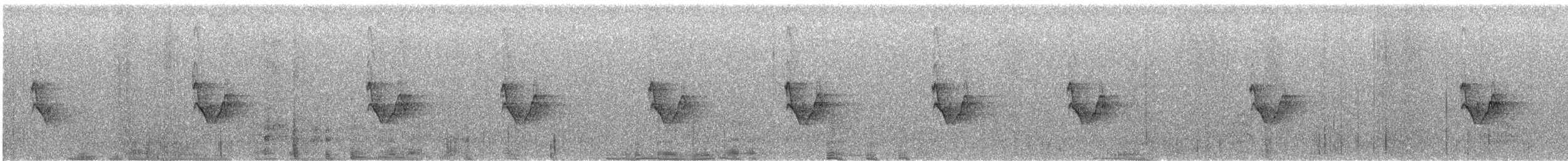 ハモンドメジロハエトリ - ML646878284