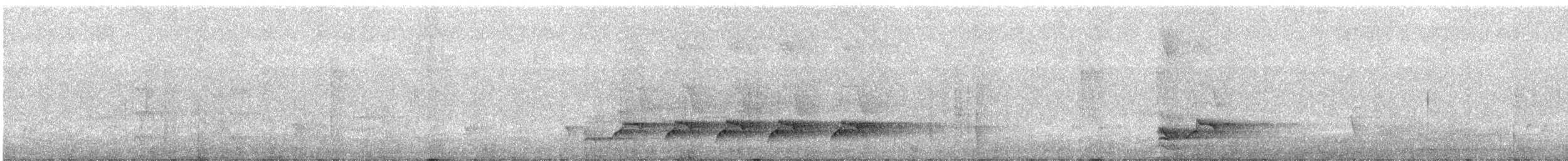 Greater Racket-tailed Drongo - ML646878305