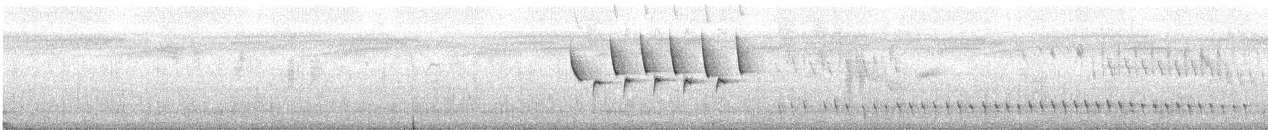 květozob vlaštovčí (ssp. hirundinaceum) - ML646878352