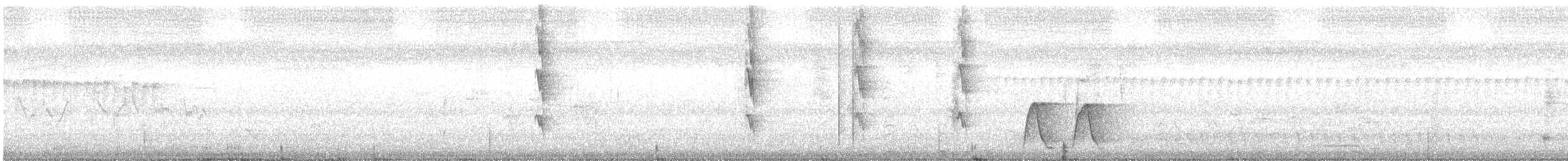 medosavka bělolící - ML646878359