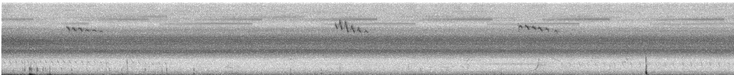 Red-backed Fairywren - ML646878461