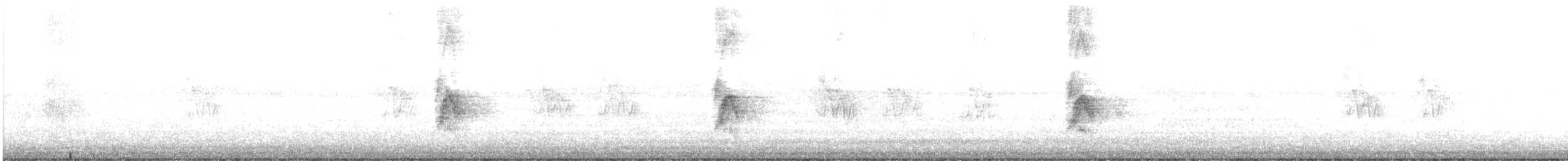 Gorrión Común - ML646878647