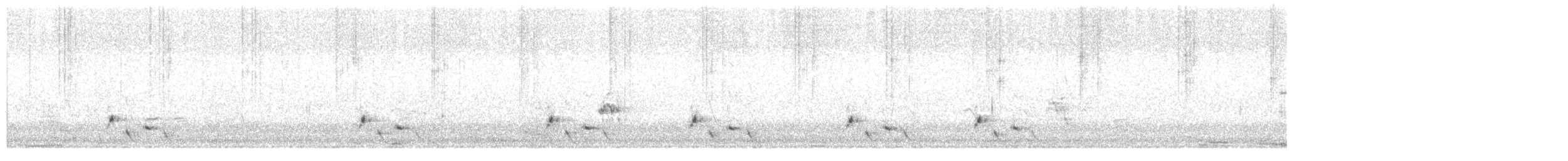 Streifenpanthervogel - ML646878830