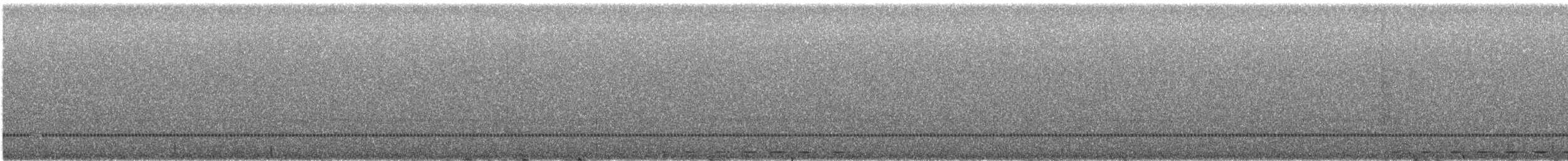 ヒゲコノハズク - ML646878883