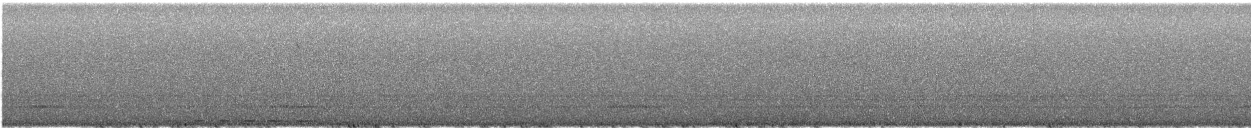 ヒゲコノハズク - ML646878886