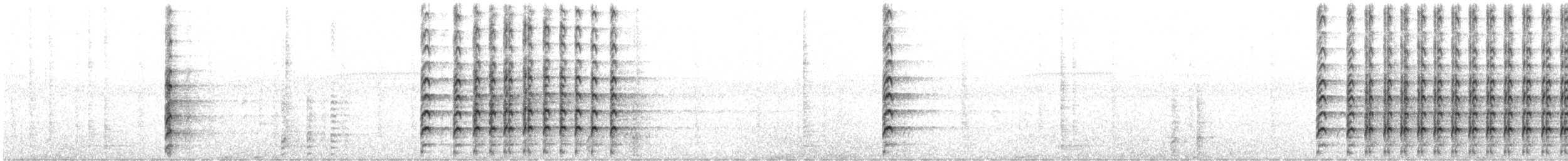 Masked Lapwing (Black-shouldered) - ML646879159