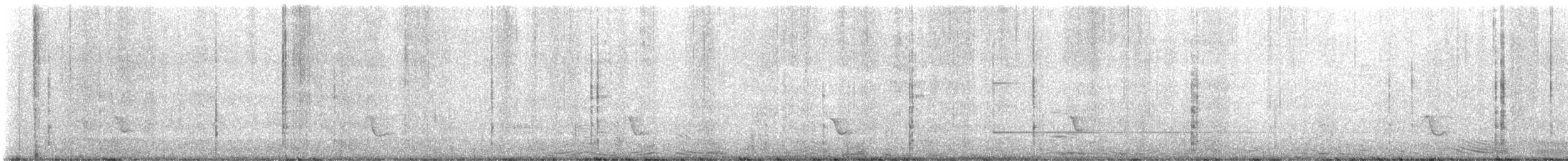 Oriole maculé - ML646879317