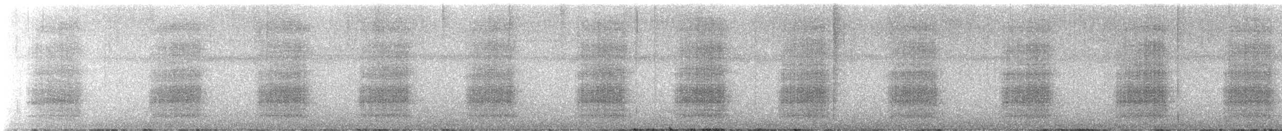 Yellow-tailed Black-Cockatoo - ML646879327