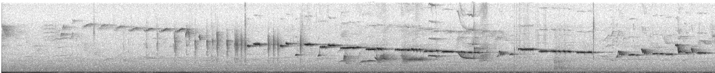 Gray Gerygone - ML646879652