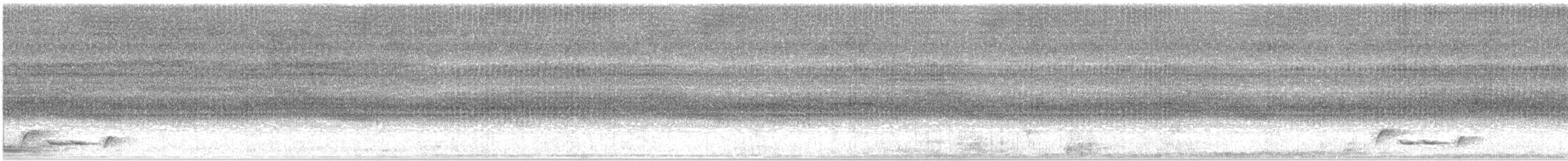 Little Shrikethrush (Rufous) - ML646879719