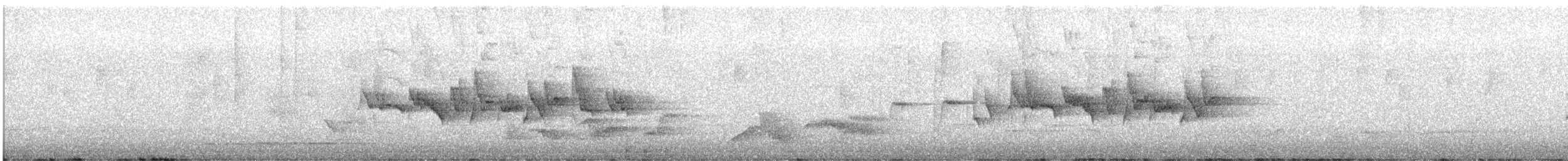 Silvereye - ML646879976