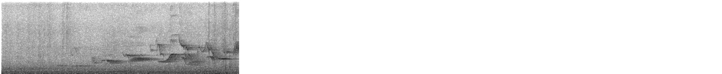 Yeni Zelanda Güvercini - ML646880052