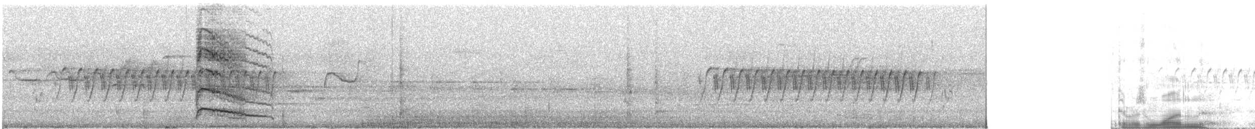 Red-breasted Sapsucker - ML646880610