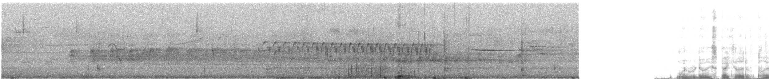 Virginia Rail - ML646880782