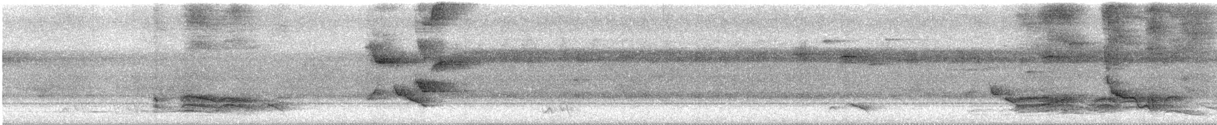 Spotted Catbird - ML646880871