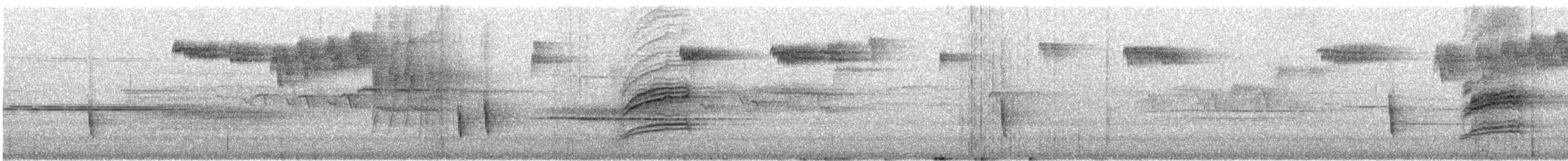 Hermit Thrush - ML646881098