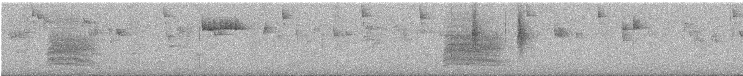 White-tailed Nuthatch - ML646881173