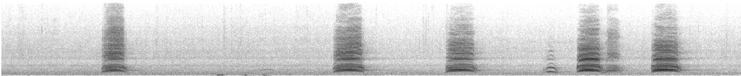 Common Raven - ML646881238