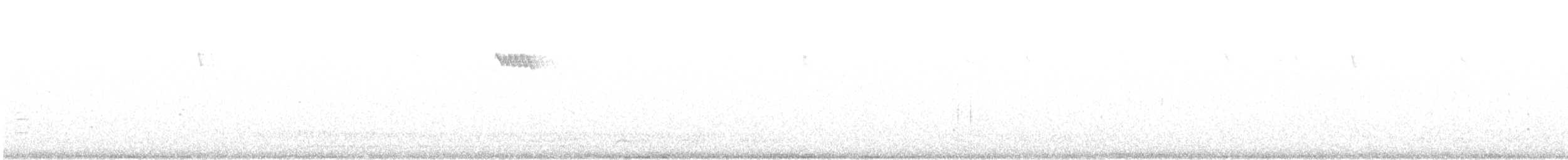 Brown Creeper - ML646881303